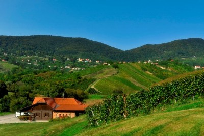 Objavljen Javni poziv za financiranje programa i projekata udruga koje promiču poljoprivredu i vrijednost ruralnog prostora